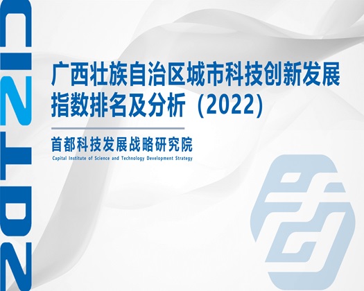 大鸡巴操小骚屄【成果发布】广西壮族自治区城市科技创新发展指数排名及分析（2022）